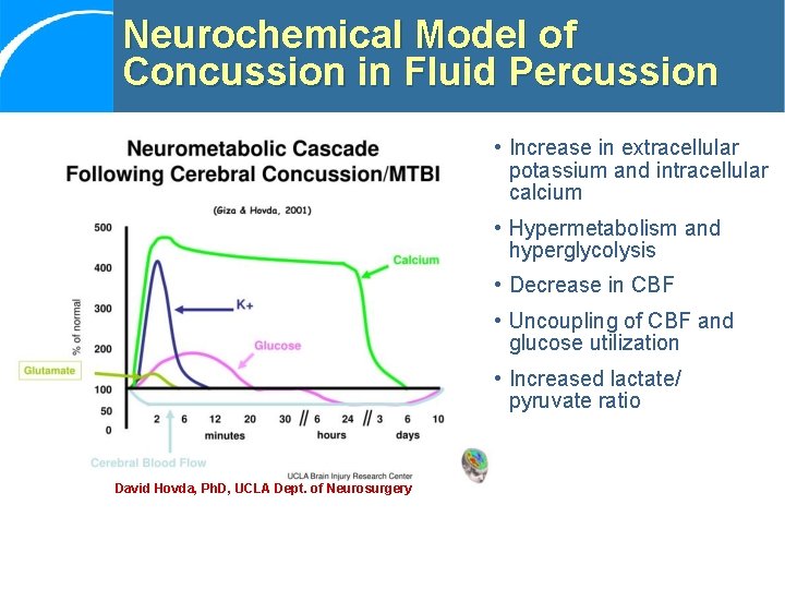 Neurochemical Model of Concussion in Fluid Percussion • Increase in extracellular potassium and intracellular
