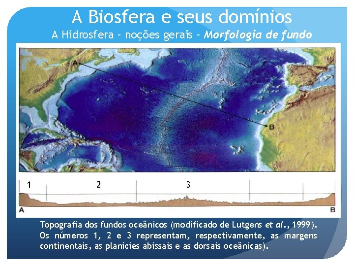 A Biosfera e seus domínios A Hidrosfera – noções gerais – Morfologia de fundo