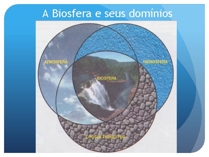 A Biosfera e seus domínios 