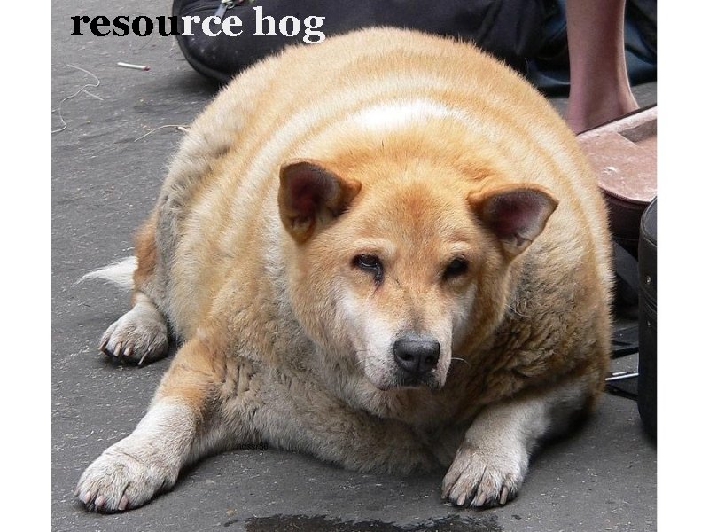 resource hog 