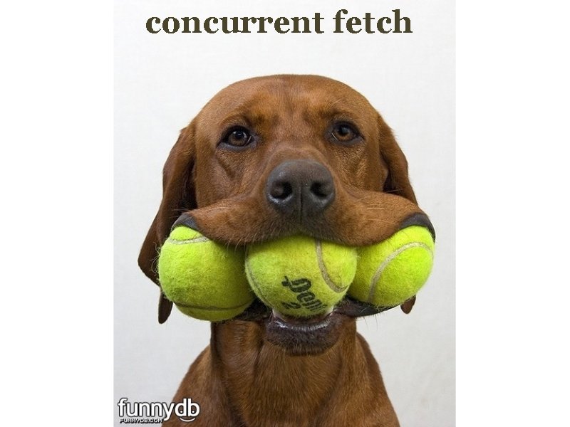 concurrent fetch 