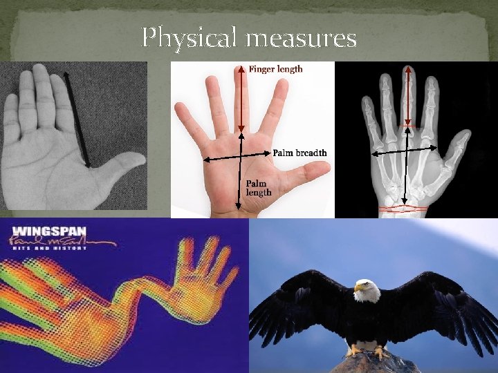 Physical measures 