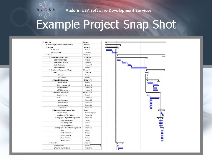 Made in USA Software Development Services Example Project Snap Shot 
