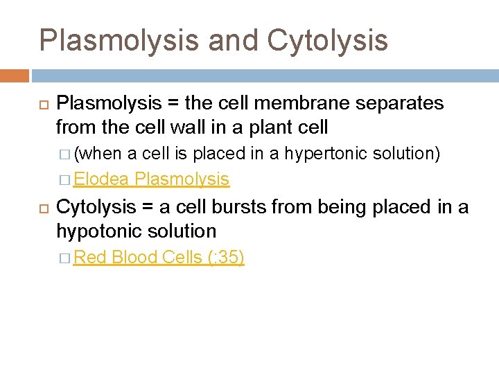 Plasmolysis and Cytolysis Plasmolysis = the cell membrane separates from the cell wall in