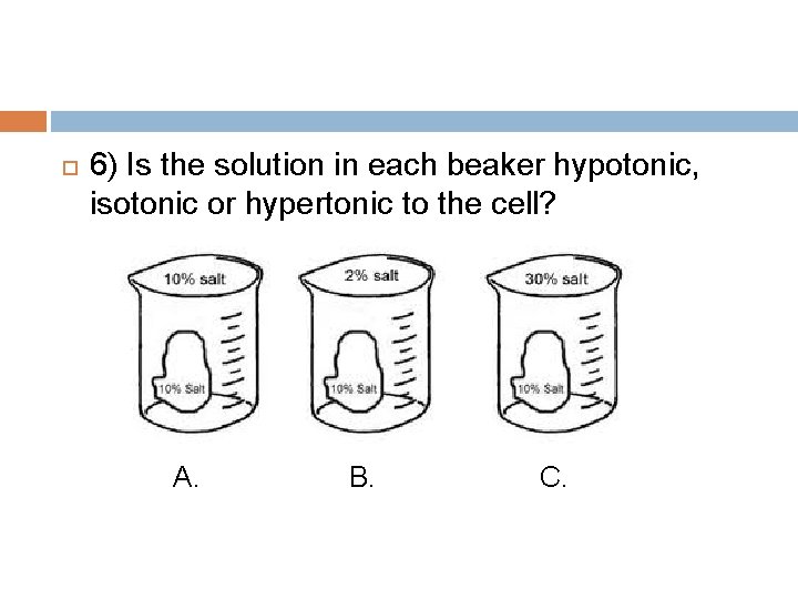  6) Is the solution in each beaker hypotonic, isotonic or hypertonic to the