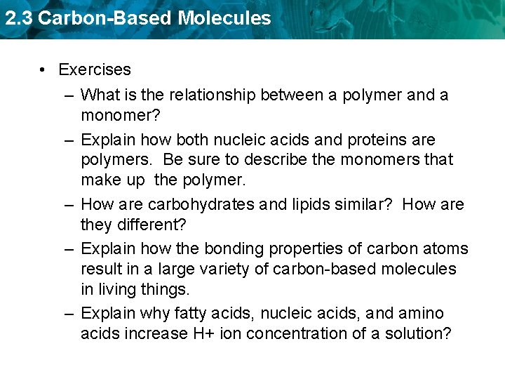 2. 3 Carbon-Based Molecules • Exercises – What is the relationship between a polymer