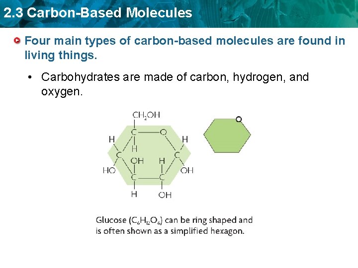 2. 3 Carbon-Based Molecules Four main types of carbon-based molecules are found in living