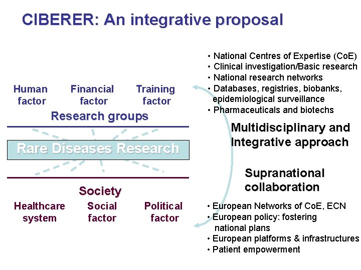 CIBERER: An integrative proposal Human factor Financial factor Training factor Research groups Rare Diseases CIBERER: An integrative proposal Human factor Financial factor Training factor Research groups Rare Diseases