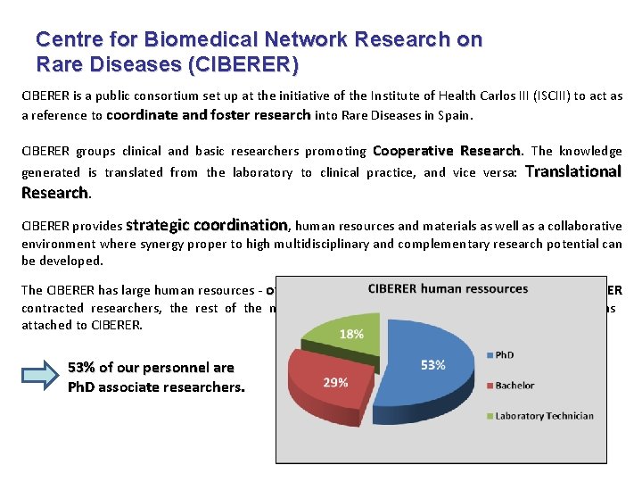 Centre for Biomedical Network Research on Rare Diseases (CIBERER) CIBERER is a public consortium Centre for Biomedical Network Research on Rare Diseases (CIBERER) CIBERER is a public consortium