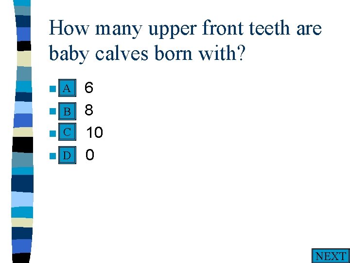 How many upper front teeth are baby calves born with? A n A. n