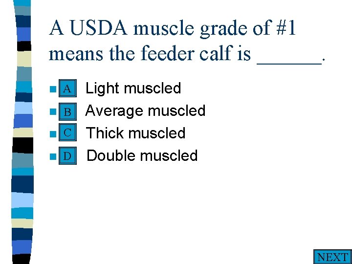 A USDA muscle grade of #1 means the feeder calf is ______. A n