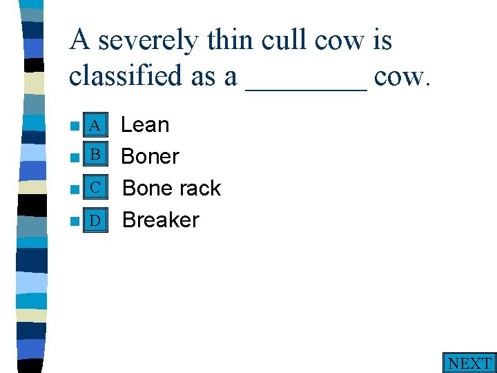 A severely thin cull cow is classified as a ____ cow. A n A.