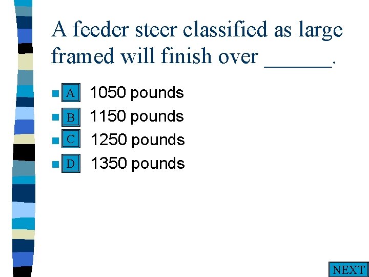 A feeder steer classified as large framed will finish over ______. A n A.