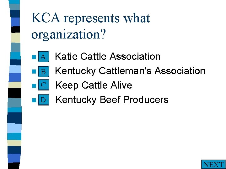 KCA represents what organization? A n A. n n n Katie Cattle Association B