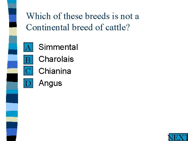 Which of these breeds is not a Continental breed of cattle? n A n