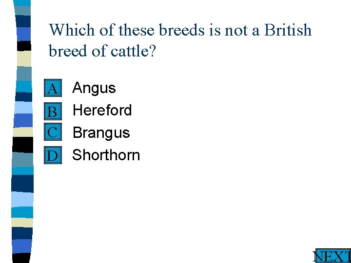 Which of these breeds is not a British breed of cattle? n A n