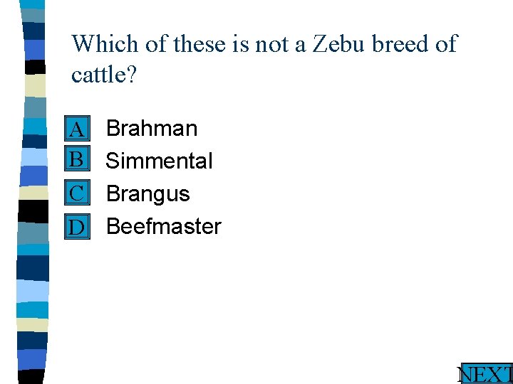 Which of these is not a Zebu breed of cattle? n Brahman A B