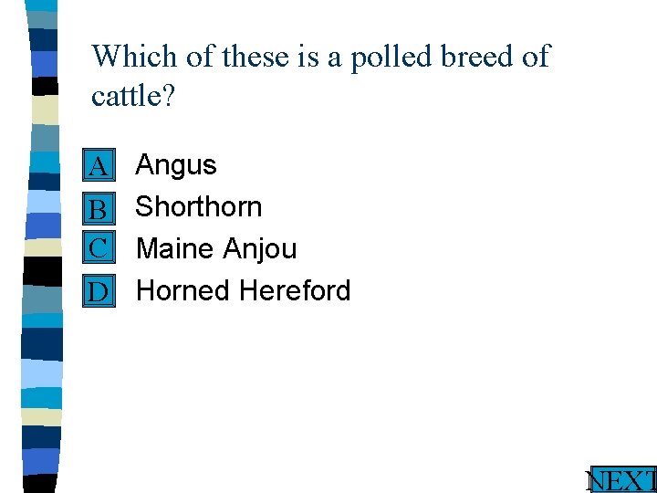 Which of these is a polled breed of cattle? n A n B C