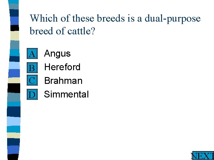 Which of these breeds is a dual-purpose breed of cattle? n A n B