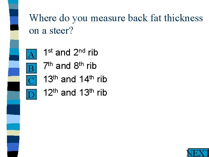 Where do you measure back fat thickness on a steer? 1 st and 2