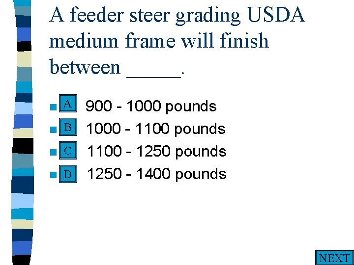A feeder steer grading USDA medium frame will finish between _____. A n A.