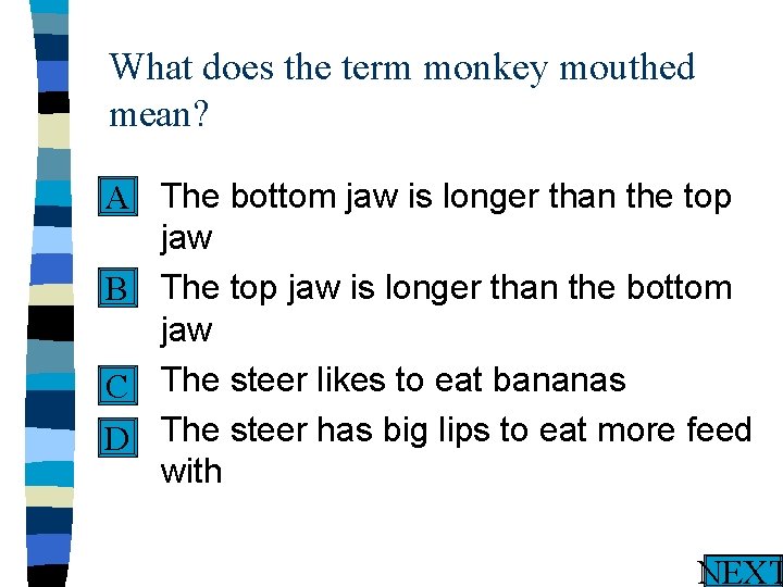 What does the term monkey mouthed mean? n The bottom jaw is longer than