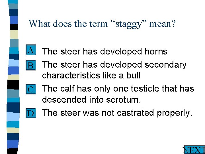 What does the term “staggy” mean? A n The steer has developed horns n