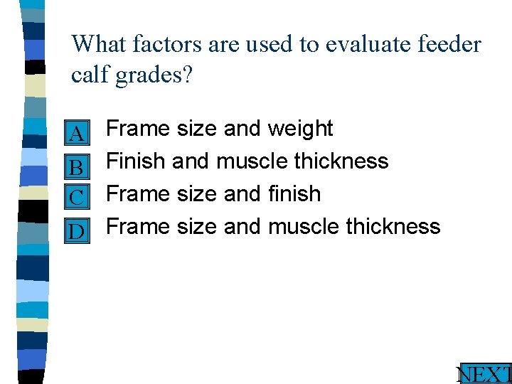 What factors are used to evaluate feeder calf grades? n A n B n