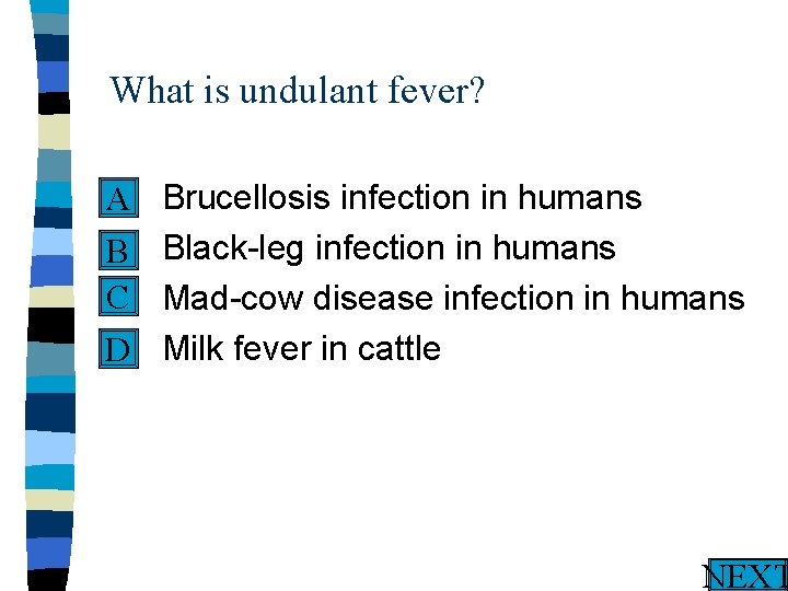 What is undulant fever? n A n B C n n D Brucellosis infection