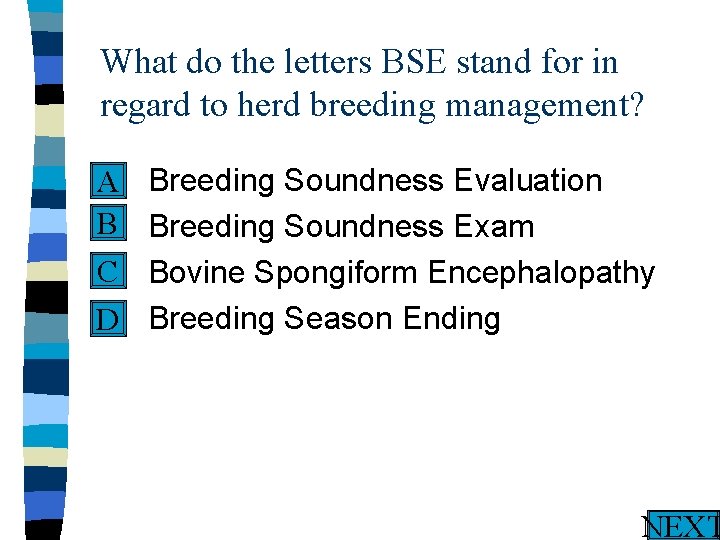 What do the letters BSE stand for in regard to herd breeding management? n