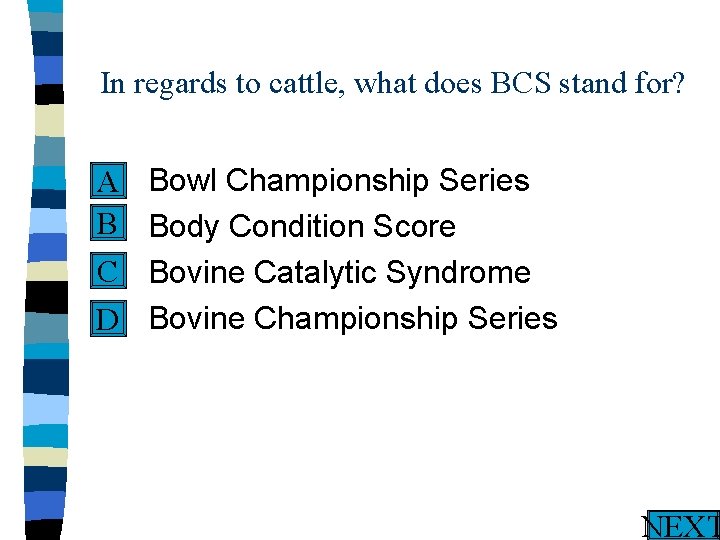 In regards to cattle, what does BCS stand for? n Bowl Championship Series A