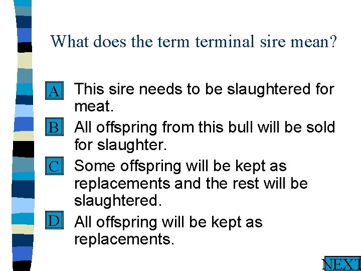 What does the terminal sire mean? n This sire needs to be slaughtered for
