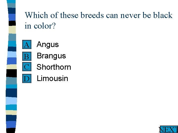 Which of these breeds can never be black in color? n A n B