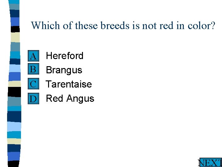 Which of these breeds is not red in color? n Hereford A B n