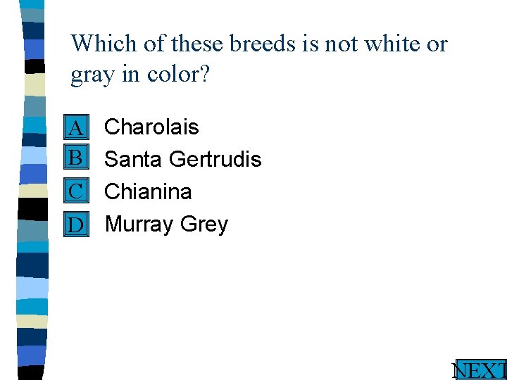Which of these breeds is not white or gray in color? n Charolais A