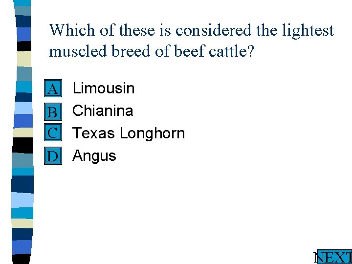 Which of these is considered the lightest muscled breed of beef cattle? n A