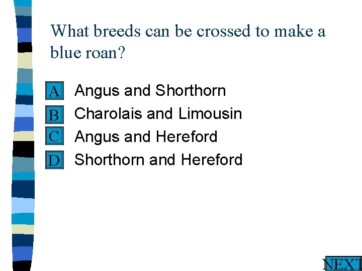 What breeds can be crossed to make a blue roan? n A n B