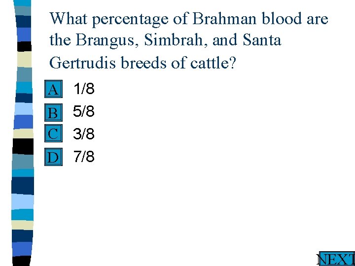 What percentage of Brahman blood are the Brangus, Simbrah, and Santa Gertrudis breeds of