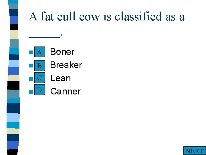 A fat cull cow is classified as a _____. A n A. n n