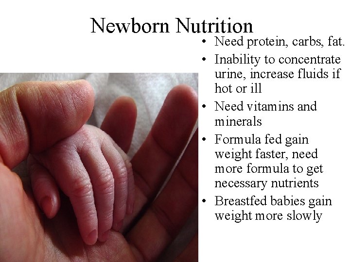 Newborn Nutrition • Need protein, carbs, fat. • Inability to concentrate urine, increase fluids