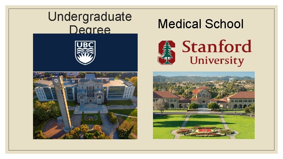 Undergraduate Degree Medical School 