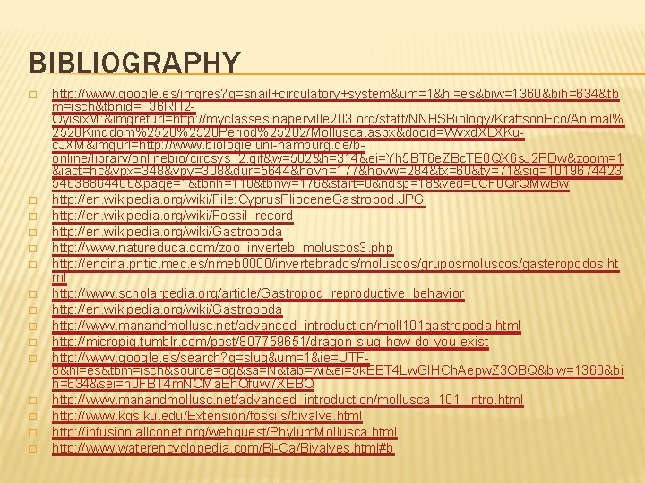 BIBLIOGRAPHY � � � � http: //www. google. es/imgres? q=snail+circulatory+system&um=1&hl=es&biw=1360&bih=634&tb m=isch&tbnid=F 36 RH 2