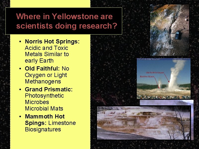 Where in Yellowstone are scientists doing research? • Norris Hot Springs: Acidic and Toxic
