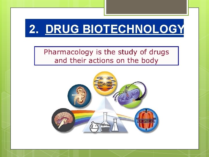 2. DRUG BIOTECHNOLOGY PHARMACY BIOTECHNOLOGY 