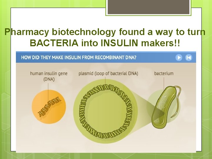 Pharmacy biotechnology found a way to turn BACTERIA into INSULIN makers!! 