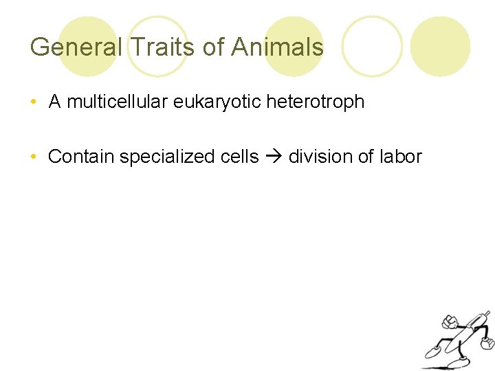 Animals Invertebrates Kingdom Animalia l Around 9 or