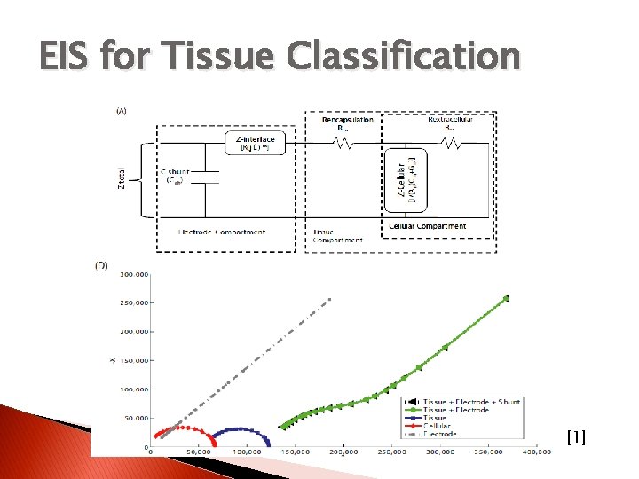 EIS for Tissue Classification [1] 