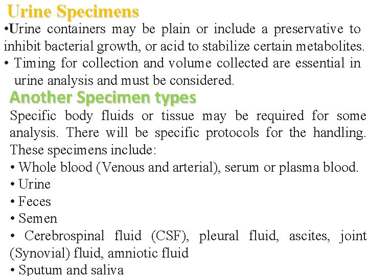 Urine Specimens • Urine containers may be plain or include a preservative to inhibit