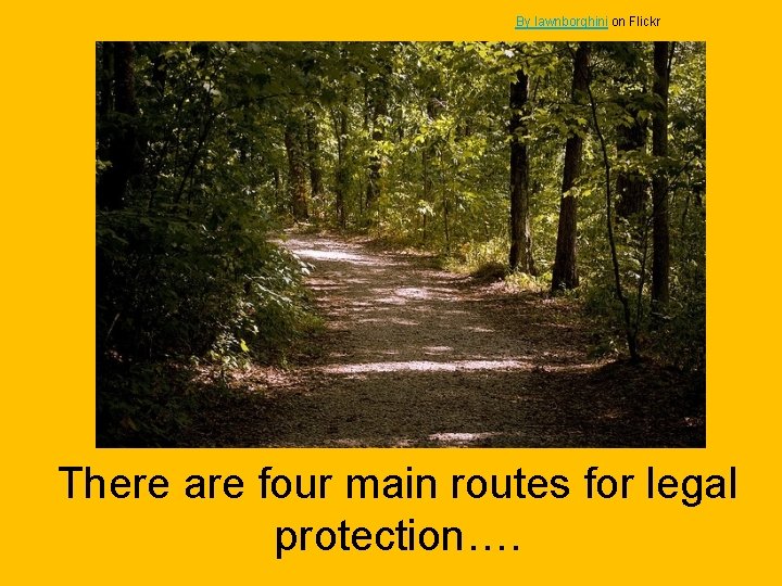 By lawnborghini on Flickr There are four main routes for legal protection…. 