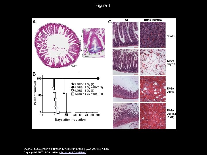 Figure 1 Gastroenterology 2012 1431266 -1276 DOI: (10. 1053/j. gastro. 2012. 07. 106) Copyright